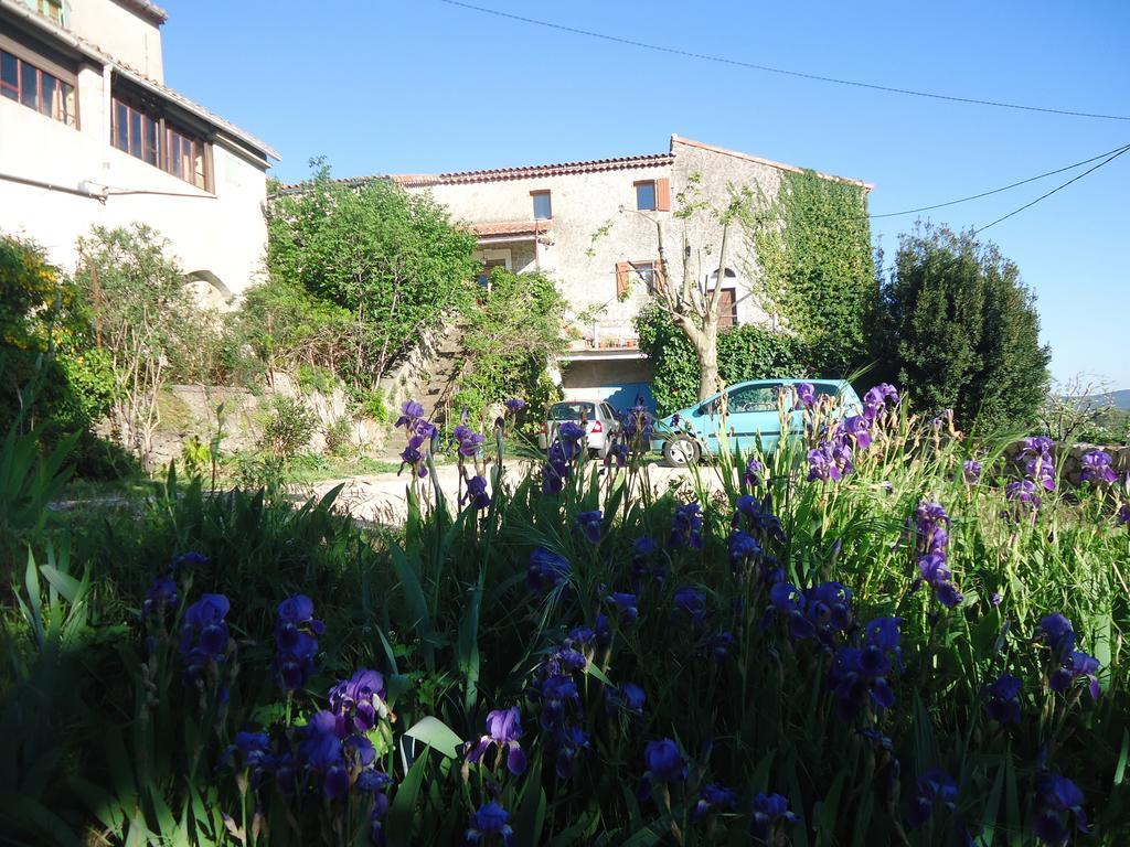 La Colline Bleue Bed & Breakfast Banne Екстериор снимка