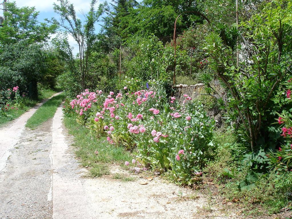 La Colline Bleue Bed & Breakfast Banne Екстериор снимка